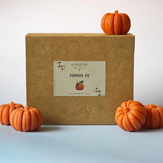 5ER-PACK DUFT-MELTS "PUMPKIN PIE" 90g