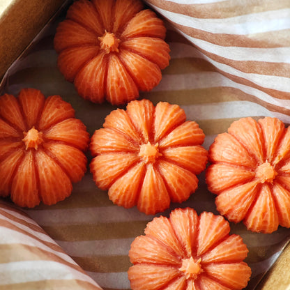 5ER-PACK DUFT-MELTS "PUMPKIN PIE" 90g